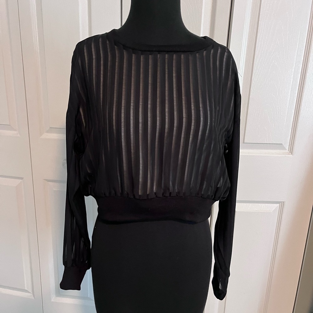 Sheer, dressy, long sleeve black top, size large